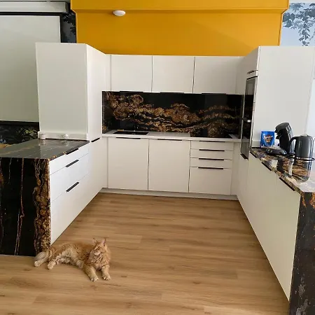 Lägenhet Loft 